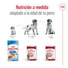 Royal Canin Medium 7+ Ageing lata para perros, , large image number null